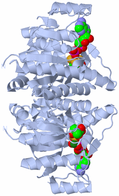 Image Biological Unit 1