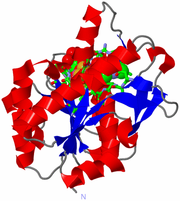 Image Asym. Unit - sites