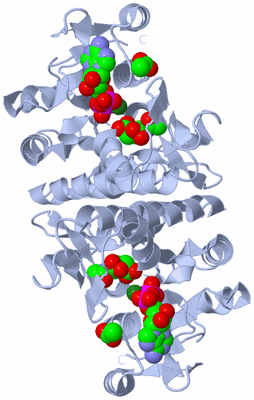 Image Biological Unit 1