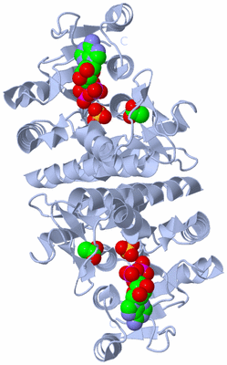 Image Biological Unit 1