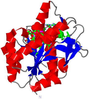 Image Asym. Unit - sites