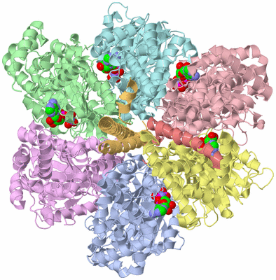 Image Biological Unit 1