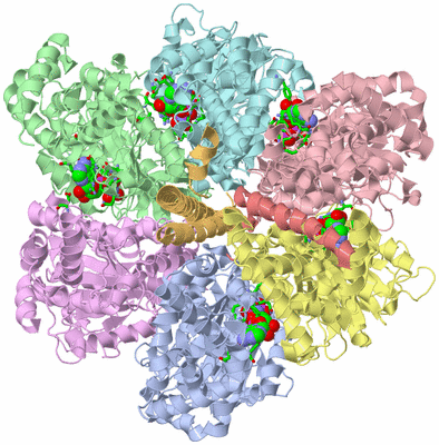 Image Biol. Unit 1 - sites