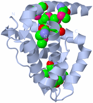 Image Biological Unit 1