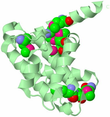 Image Biological Unit 2