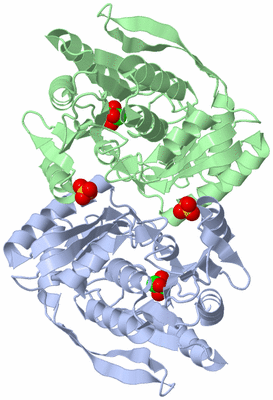 Image Asym./Biol. Unit