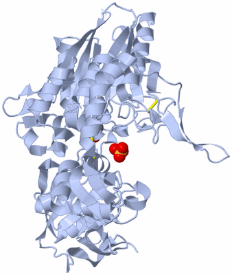 Image Biological Unit 1