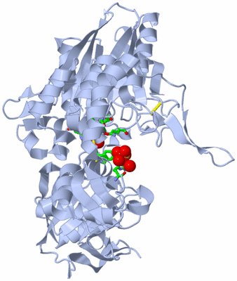 Image Biol. Unit 1 - sites