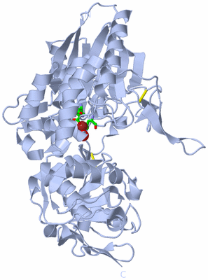 Image Biol. Unit 1 - sites