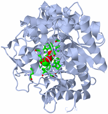 Image Biol. Unit 1 - sites