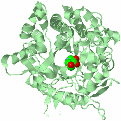 Image Biological Unit 2