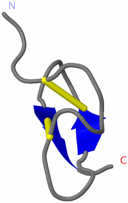 Image NMR Structure - model 1