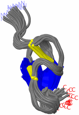 Image NMR Structure - all models