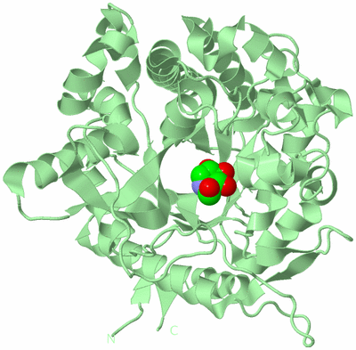 Image Biological Unit 2