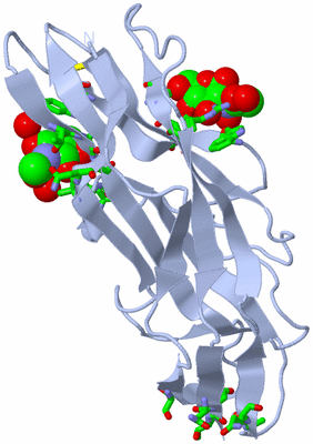 Image Biol. Unit 1 - sites