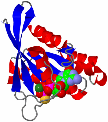 Image Asym./Biol. Unit