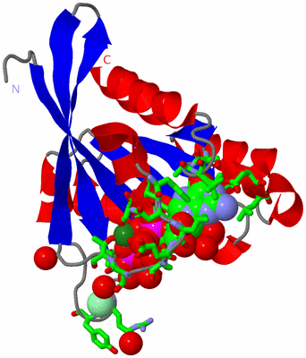 Image Asym./Biol. Unit - sites