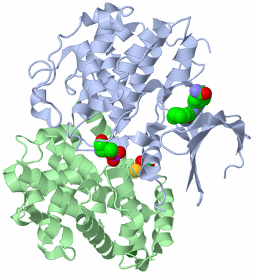 Image Biological Unit 1