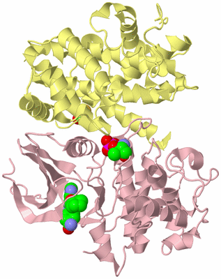 Image Biological Unit 2