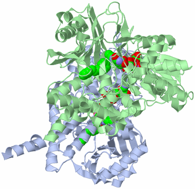 Image Asym./Biol. Unit