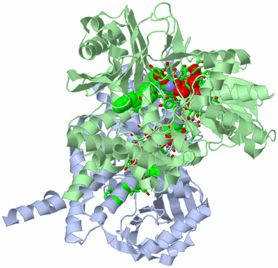 Image Asym./Biol. Unit - sites