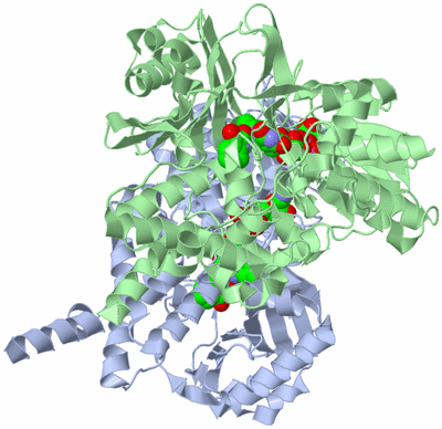 Image Asym./Biol. Unit