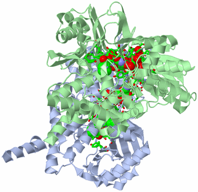 Image Asym./Biol. Unit - sites