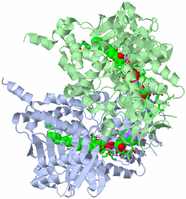 Image Biol. Unit 1 - sites