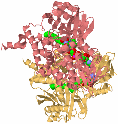 Image Biological Unit 4