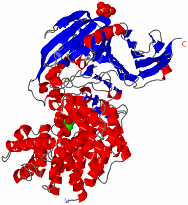 Image Asym./Biol. Unit