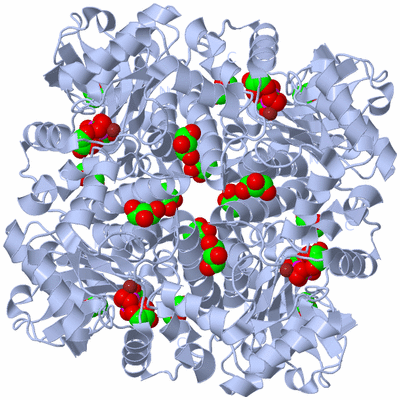 Image Biological Unit 1