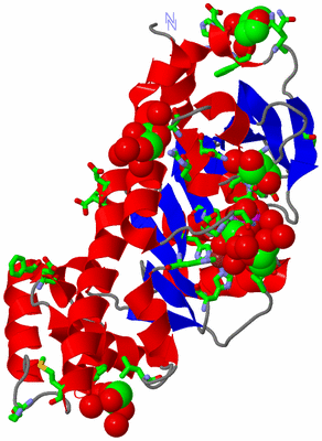 Image Asym. Unit - sites