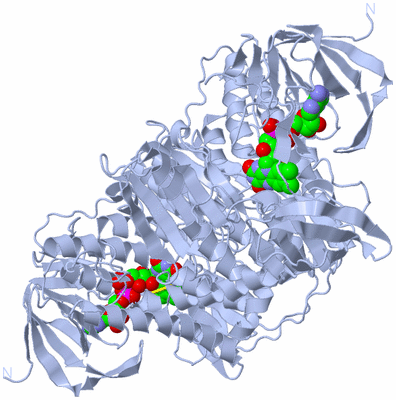 Image Biological Unit 1