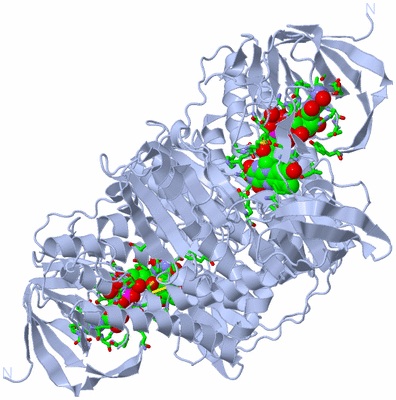 Image Biol. Unit 1 - sites