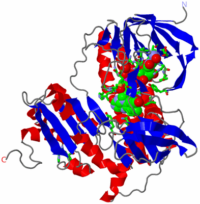 Image Asym. Unit - sites