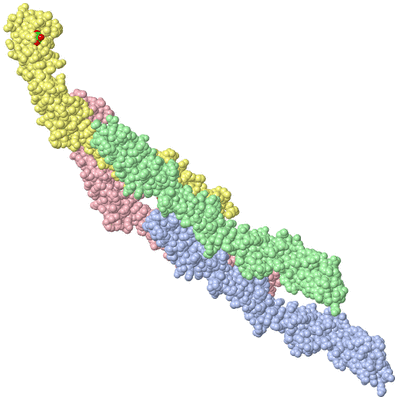 Image Asymmetric Unit