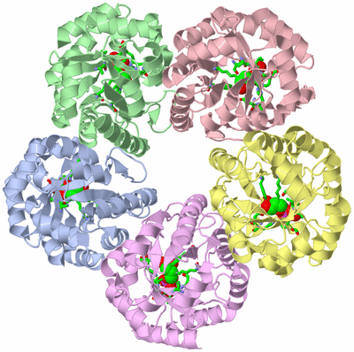 Image Biol. Unit 1 - sites