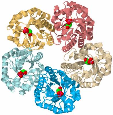 Image Biological Unit 2