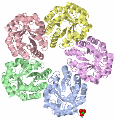 Image Biological Unit 1