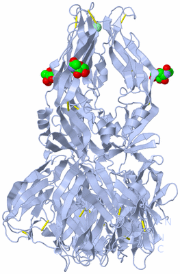 Image Biological Unit 1