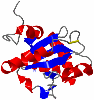 Image NMR Structure - model 1