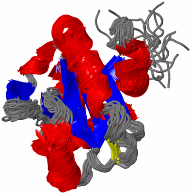 Image NMR Structure - all models