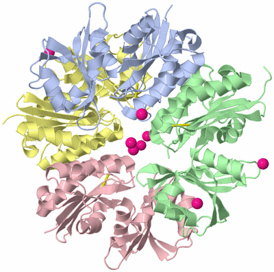 Image Asymmetric Unit