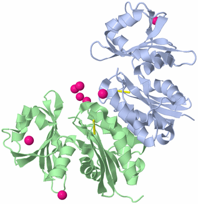 Image Biological Unit 1