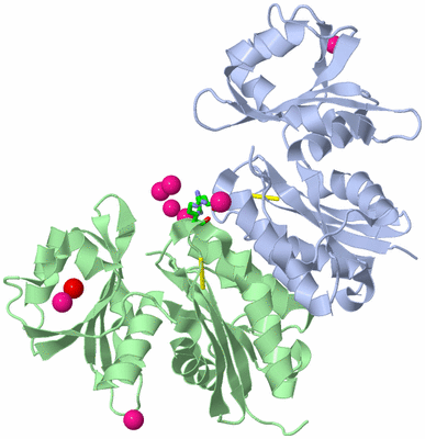 Image Biol. Unit 1 - sites