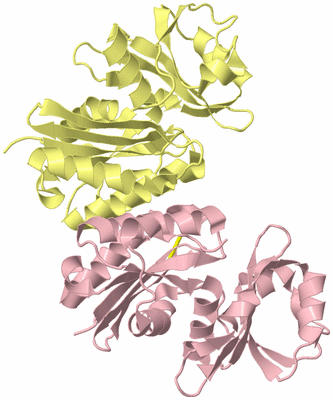 Image Biological Unit 2