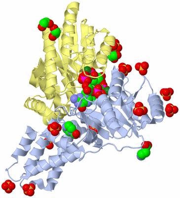 Image Asym./Biol. Unit