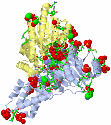 Image Asym./Biol. Unit - sites