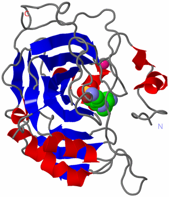Image Asym./Biol. Unit