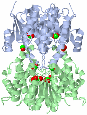 Image Biological Unit 1